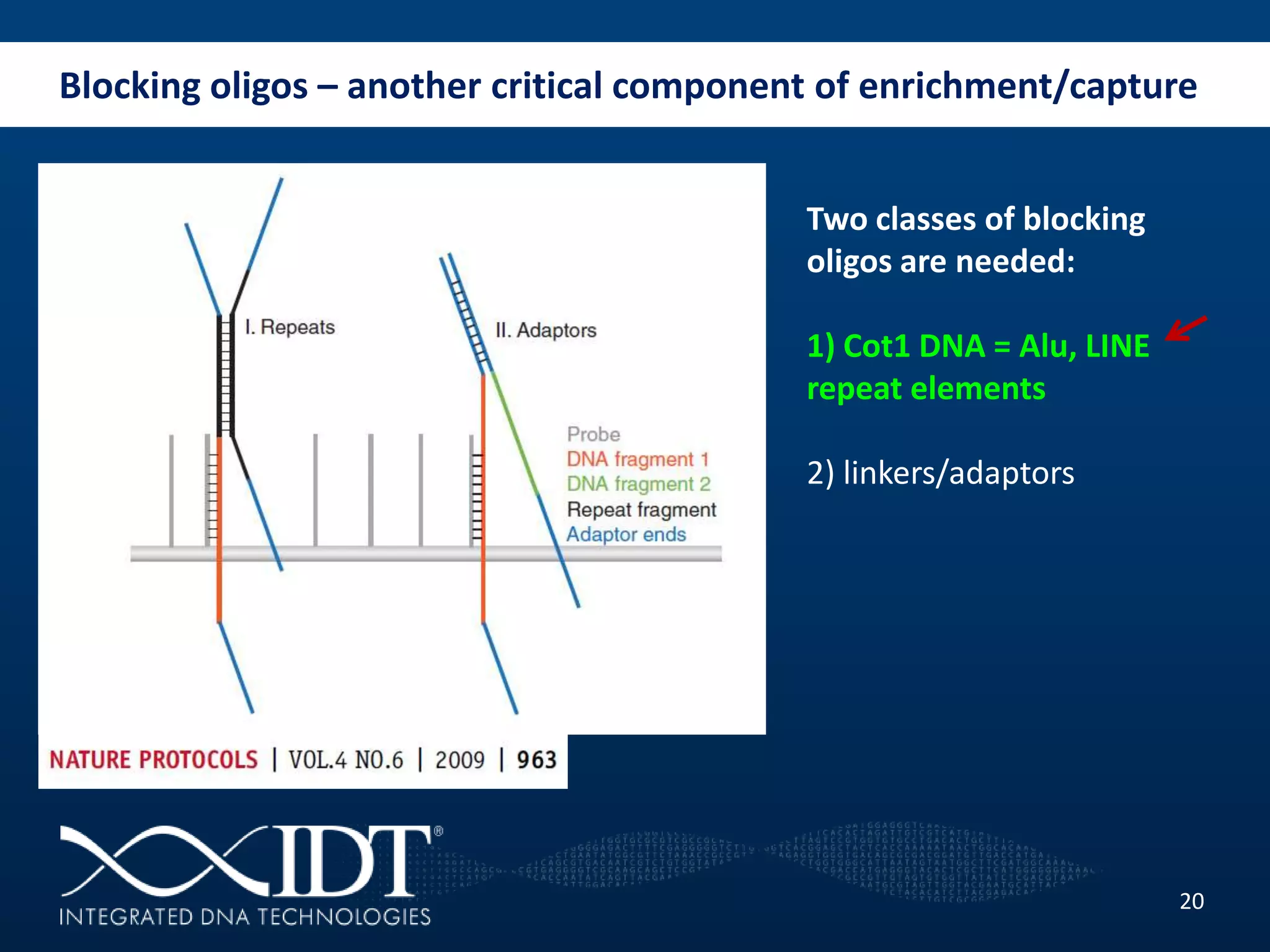 Blocking oligos – another critical component of enrichment/capture
20
Two classes of blocking
oligos are needed:
1) Cot1 DNA = Alu, LINE
repeat elements
2) linkers/adaptors
 