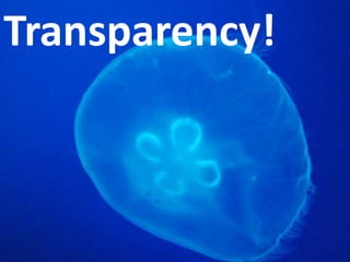 Transparency!
 