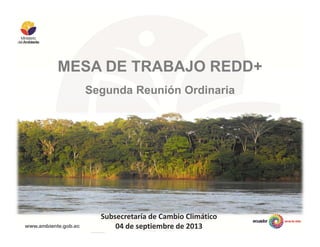 MESA DE TRABAJO REDD+
Segunda Reunión Ordinaria
Subsecretaría de Cambio Climático
04 de septiembre de 2013
 