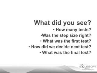 What did you see?
• How many tests?
•Was the step size right?
• What was the first test?
• How did we decide next test?
• What was the final test?
 