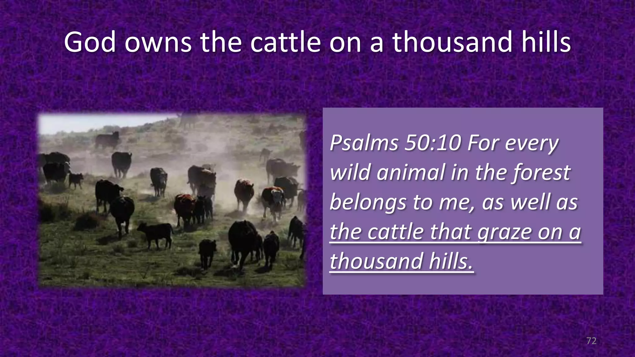 God owns the cattle on a thousand hills
Psalms 50:10 For every
wild animal in the forest
belongs to me, as well as
the cattle that graze on a
thousand hills.
72
 