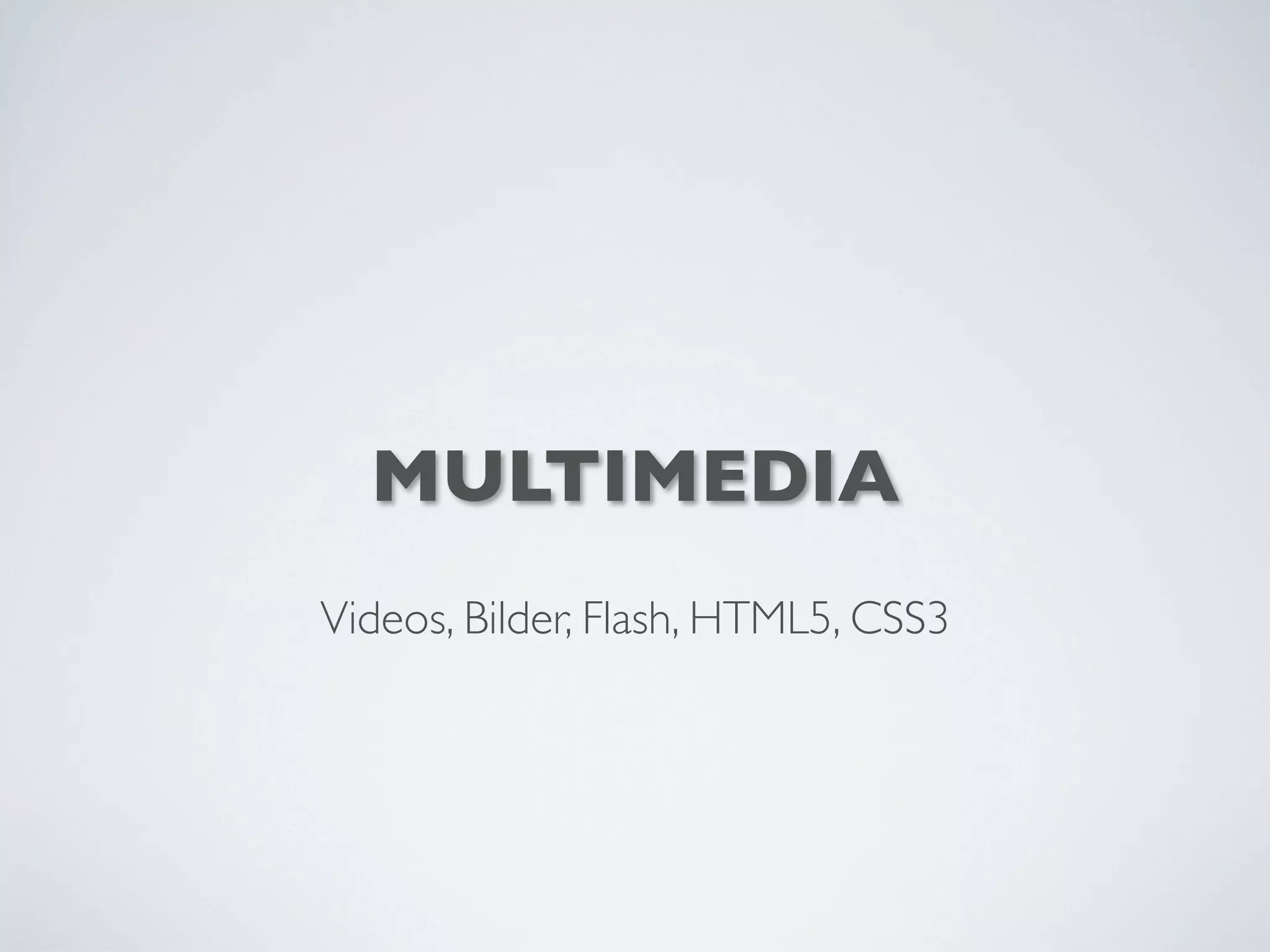 MULTIMEDIA
Videos, Bilder, Flash, HTML5, CSS3
 