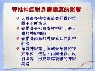 脊椎神經對身體健康的影響
人體很多疾病源於脊椎骨的位
置不正所造成
脊椎骨旁密布脊椎神經，是人
體的神經樞紐
脊椎骨兩旁的神經孔延伸出神
經節
每對神經節，管轄著身體的特
定部位，包括：內臟器官、反
射區等，形成錯綜複雜的神經
網路
 