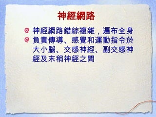 神經網路
神經網路錯綜複雜，遍布全身
負責傳導、感覺和運動指令於
大小腦、交感神經、副交感神
經及末稍神經之間
 