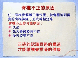 脊椎不正的原因
任一脊椎骨偏離正確位置，就會壓迫到兩
旁的脊椎神經，造成神經短路
脊椎不正的可能原因：
久坐
先天骨骼發育不佳
後天姿勢不良
正確的認識骨骼的構造
才能維護脊椎骨的健康
 