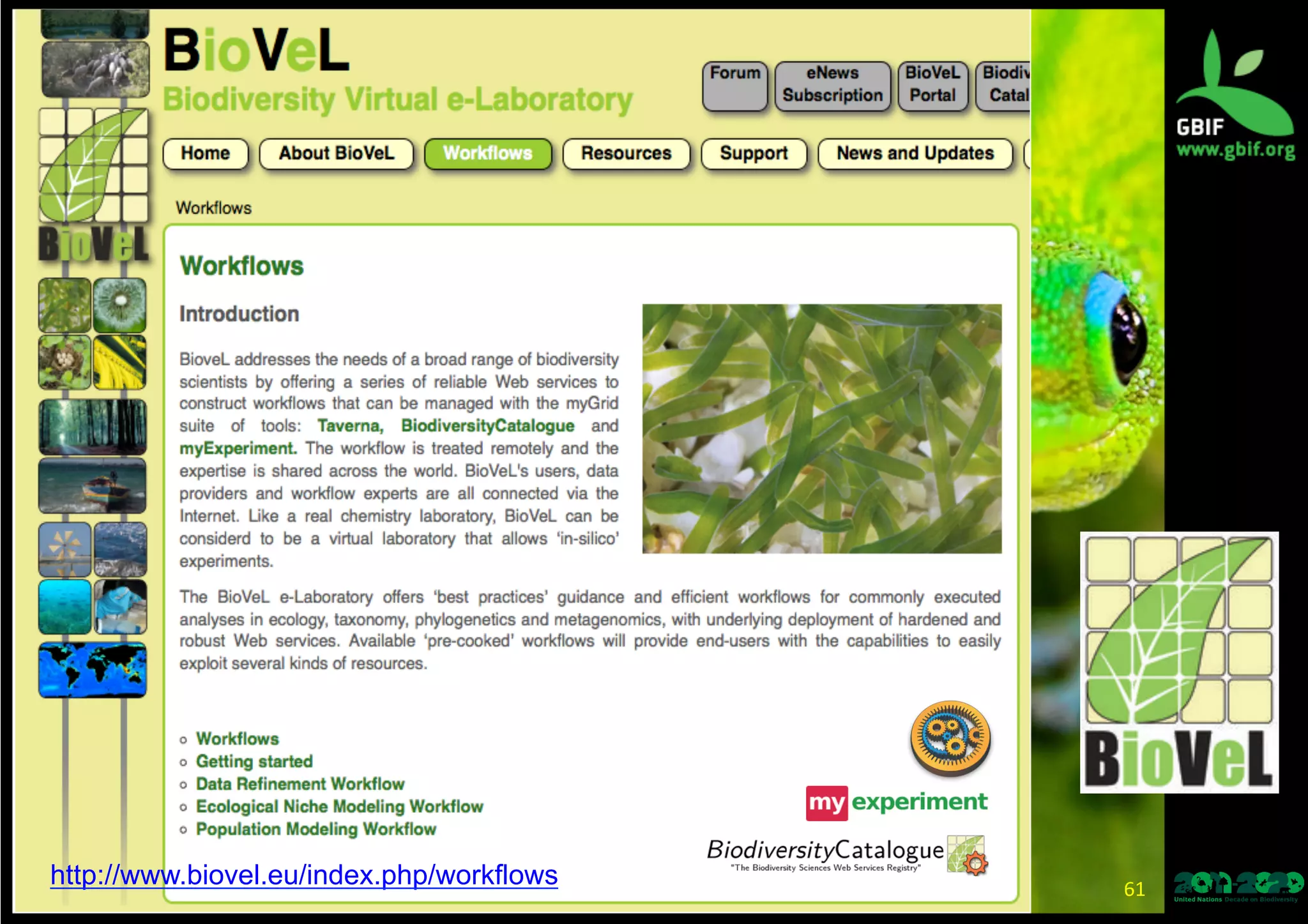 61	
  
http://www.biovel.eu/index.php/workflows
 