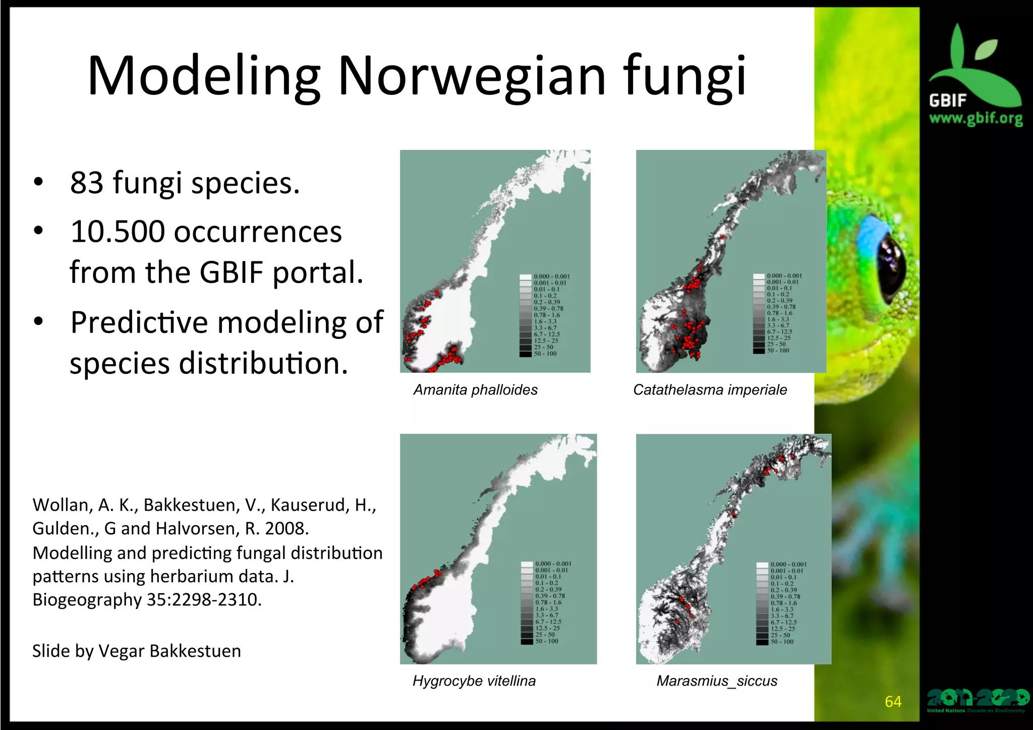 Modeling	
  Norwegian	
  fungi	
  
•  83	
  fungi	
  species.	
  
•  10.500	
  occurrences	
  
from	
  the	
  GBIF	
  portal.	
  
•  Predic*ve	
  modeling	
  of	
  
species	
  distribu*on.	
  
	
  
	
  
Wollan,	
  A.	
  K.,	
  Bakkestuen,	
  V.,	
  Kauserud,	
  H.,	
  
Gulden.,	
  G	
  and	
  Halvorsen,	
  R.	
  2008.	
  
Modelling	
  and	
  predic*ng	
  fungal	
  distribu*on	
  
palerns	
  using	
  herbarium	
  data.	
  J.	
  
Biogeography	
  35:2298-­‐2310.	
  
	
  
Slide	
  by	
  Vegar	
  Bakkestuen	
  
Amanita phalloides Catathelasma imperiale
Hygrocybe vitellina Marasmius_siccus
64	
  
 