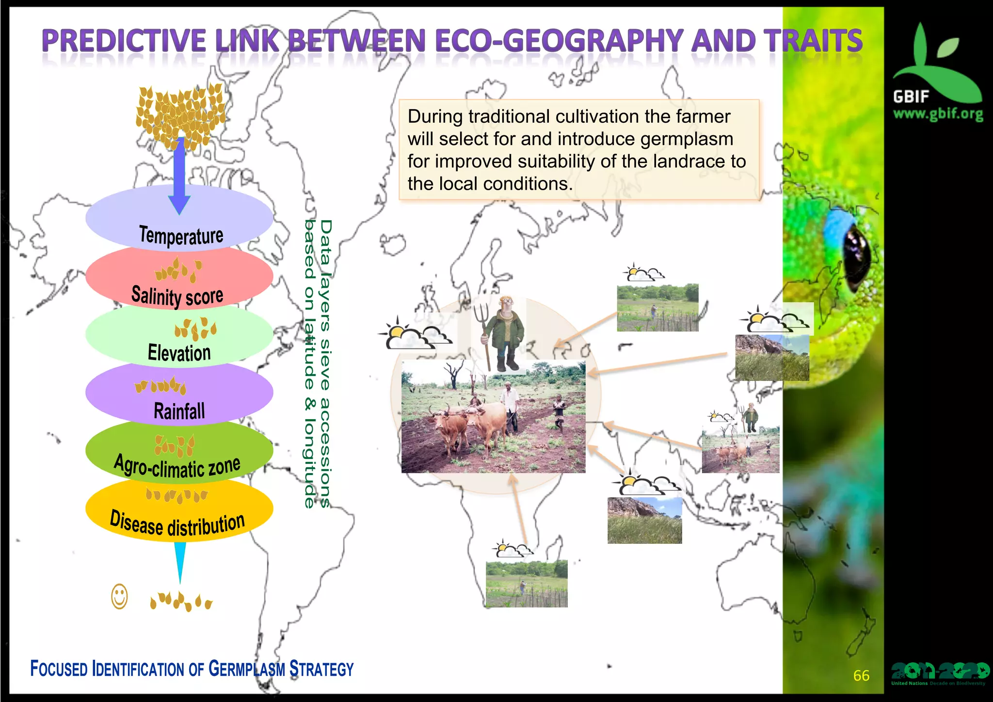 During traditional cultivation the farmer
will select for and introduce germplasm
for improved suitability of the landrace to
the local conditions.
Temperature
Salinity score
Elevation
Rainfall
Agro-climatic zone
Disease distribution
F I G SOCUSED DENTIFICATION OF ERMPLASM TRATEGY
Datalayerssieveaccessions
basedonlatitude&longitude
66	
  
 