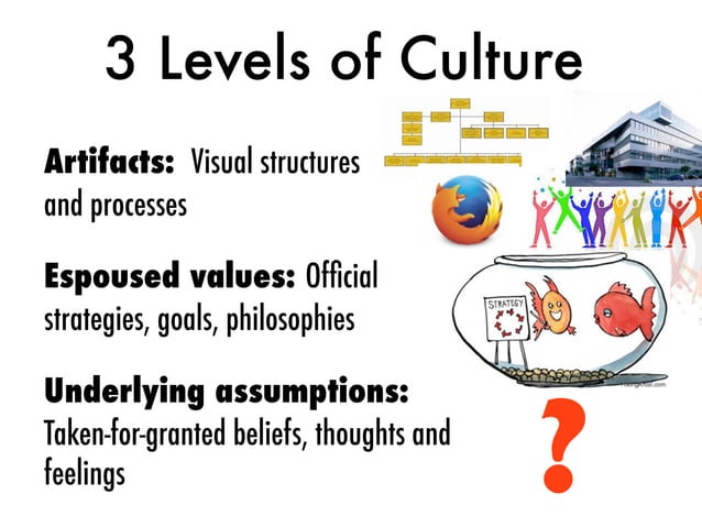 3 levels of culture