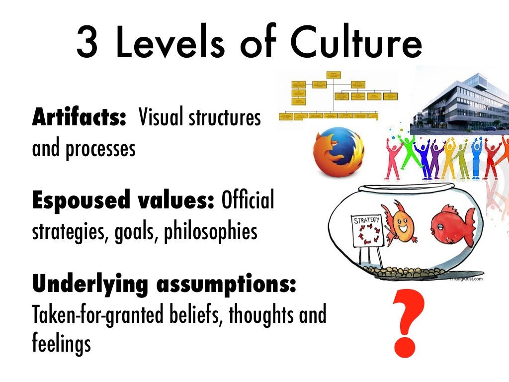 3 Levels of Culture Artifacts