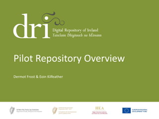 Pilot Repository Overview
Dermot Frost & Eoin Kilfeather

 
