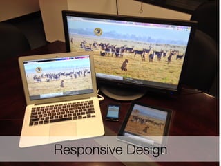 Responsive Design

49
39

 