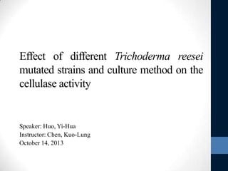 Effect of different Trichoderma reesei
mutated strains and culture method on the
cellulase activity

Speaker: Huo, Yi-Hua
Instructor: Chen, Kuo-Lung
October 14, 2013

 