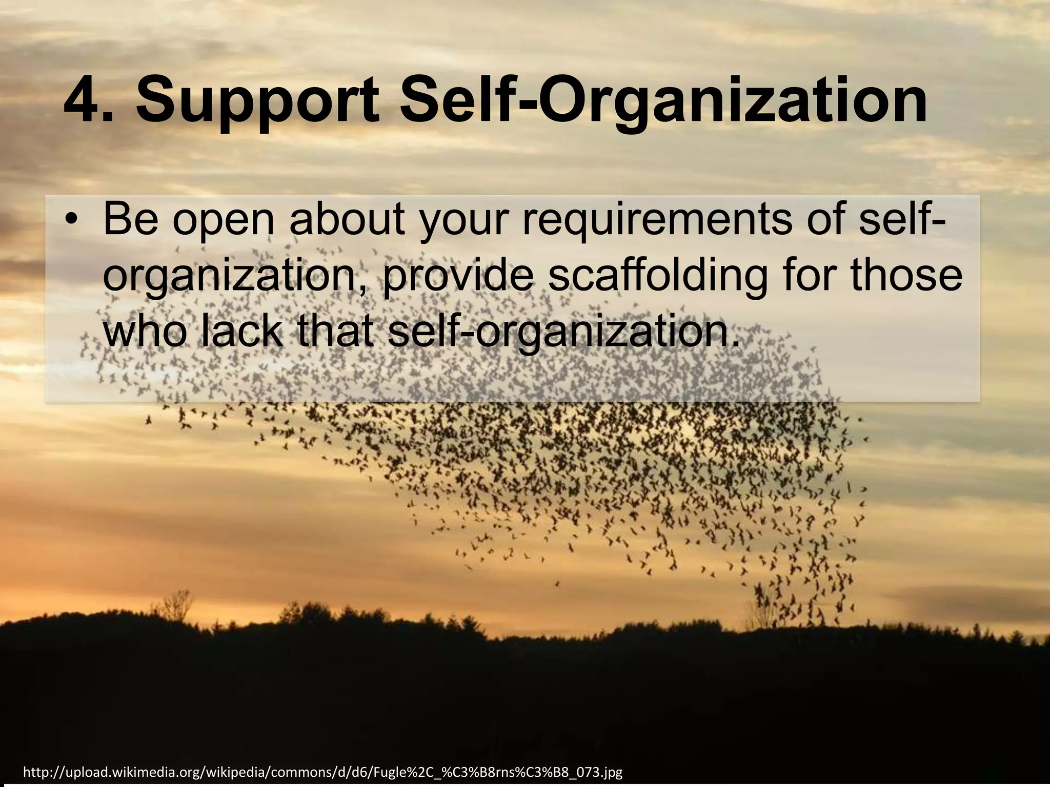4. Support Self-Organization
• Be open about your requirements of selforganization, provide scaffolding for those
who lack that self-organization.

www.efquel.org
http://upload.wikimedia.org/wikipedia/commons/d/d6/Fugle%2C_%C3%B8rns%C3%B8_073.jpg

 