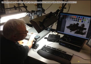 Catalog number: O-L-000014, http://purl.org/nhmuio/id/41d9cbb4-4590-4265-8079-ca44d46d27c3

45	
  

 