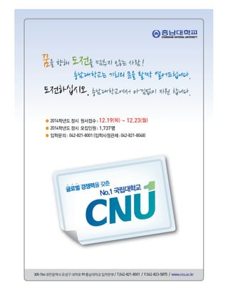 2013 10 cnu style e-book