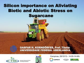 Silicon importance on Aliviating
Biotic and Abiotic Stress on
Sugarcane

GASPAR H. KORNDÖRFER, Prof. Titular
UNIVERSIDADE FEDERAL UBERLANDIA
Campinas, 29/10/13 - 14:00-14:40h

 
