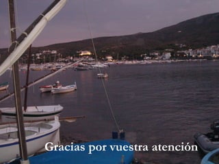 Gracias por vuestra atención

 