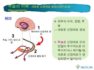 학습의 이해 - 새로운 신경세포 생성/신경가소성
(Neuroplasticity)

해마

해마에서 신경세포 생
성

학습, 기억, 정서 조
절

신경세포 활동 증가

 외부의 자극, 경험, 학
습
→ 새로운 신경세포 생성

 학습은 신경세포 간의
연결이 추가적으로 이
루어지거나 제거될 때,
새로운 신경세포가 생
성되면서 일어난다.

 