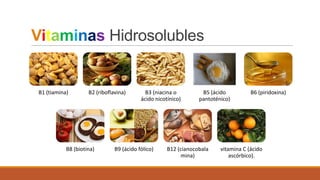 Vitaminas Hidrosolubles

B1 (tiamina)

B2 (riboflavina)

B8 (biotina)

B3 (niacina o
ácido nicotínico)

B9 (ácido fólico)
...