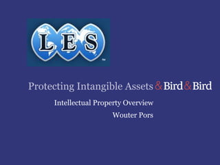 Protecting Intangible Assets
Intellectual Property Overview
Wouter Pors
 