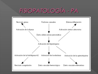 FISIOPATOLOGÍA - PA

 
