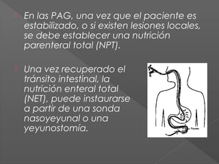 

En las PAG, una vez que el paciente es
estabilizado, o si existen lesiones locales,
se debe establecer una nutrición
parenteral total (NPT).



Una vez recuperado el
tránsito intestinal, la
nutrición enteral total
(NET), puede instaurarse
a partir de una sonda
nasoyeyunal o una
yeyunostomía.

 