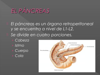 (2013-11-19) Pancreatitis aguda (ppt)