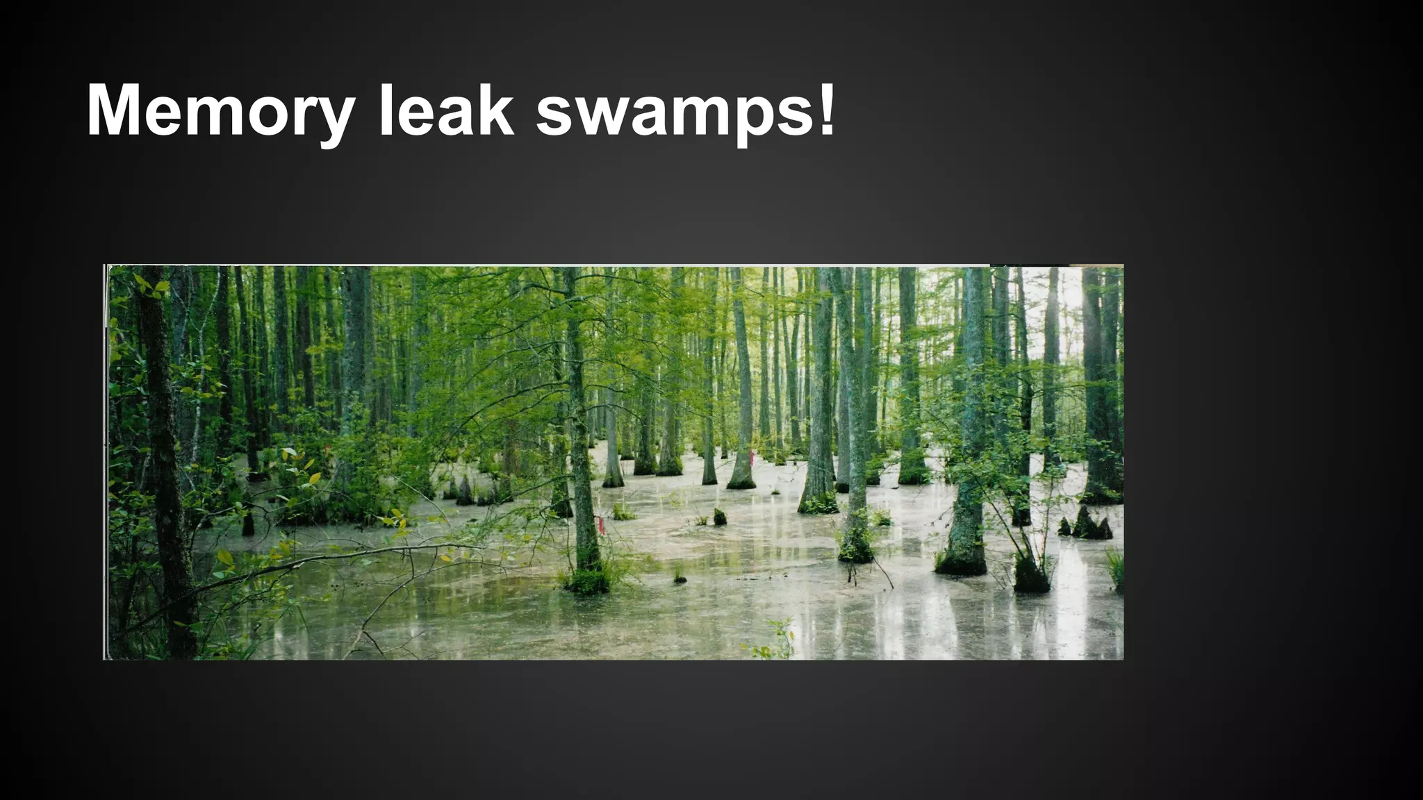 Memory leak swamps!

 