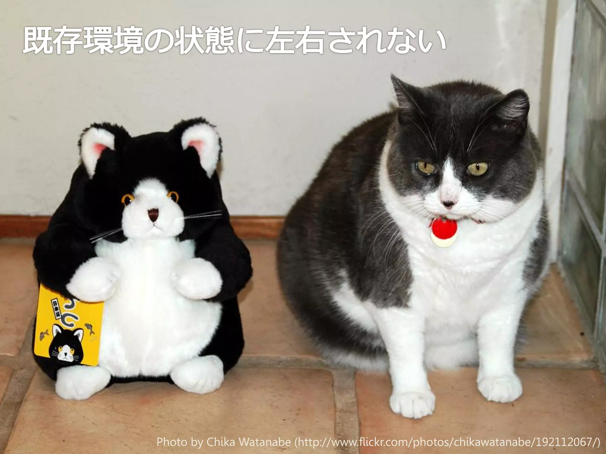 Photo by Chika Watanabe (http://www.flickr.com/photos/chikawatanabe/192112067/)

 