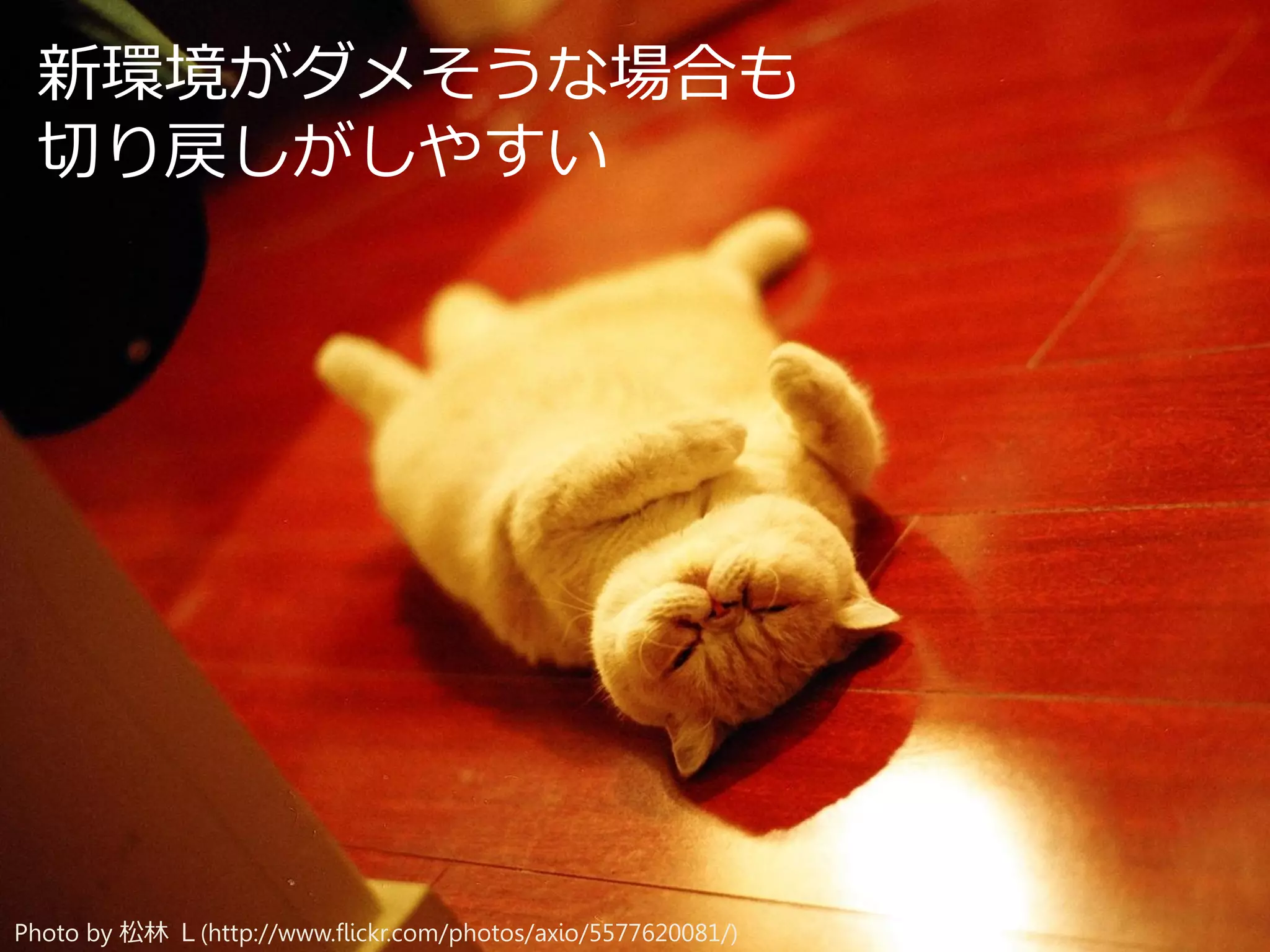 新環境がダメそうな場合も
切り戻しがしやすい

Photo by 松林 Ｌ(http://www.flickr.com/photos/axio/5577620081/)

 