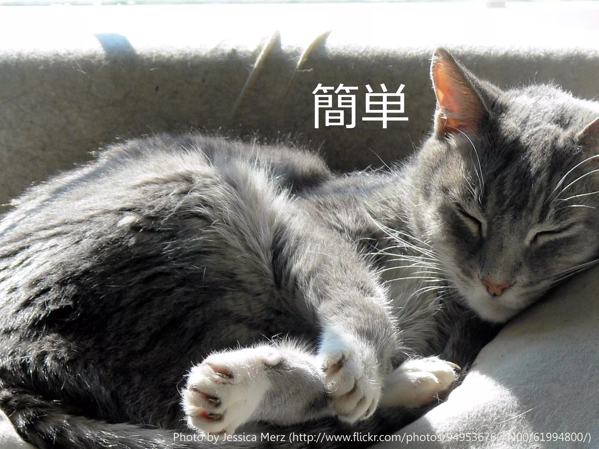 簡単

Photo by Jessica Merz (http://www.flickr.com/photos/94953676@N00/61994800/)

 