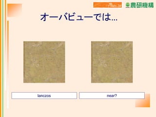 オーバビューでは…

lanczos

near?

 