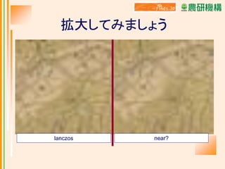 拡大してみましょう

lanczos

near?

 