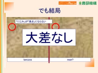 でも結局
「にじみ」が「黒点」にならない

大差なし
lanczos

near?

 