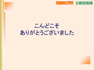こんどこそ
ありがとうございました

 