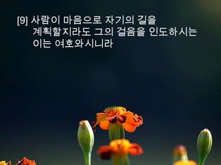 [9] 사람이 마음으로 자기의 길을
    계획할지라도 그의 걸음을 인도하시는
    이는 여호와시니라
 