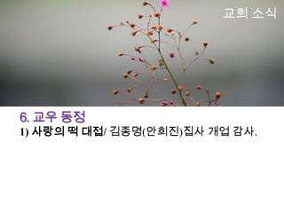 교회 소식




6. 교우 동정
1) 사랑의 떡 대접/ 김종명(안희진)집사 개업 감사.
 