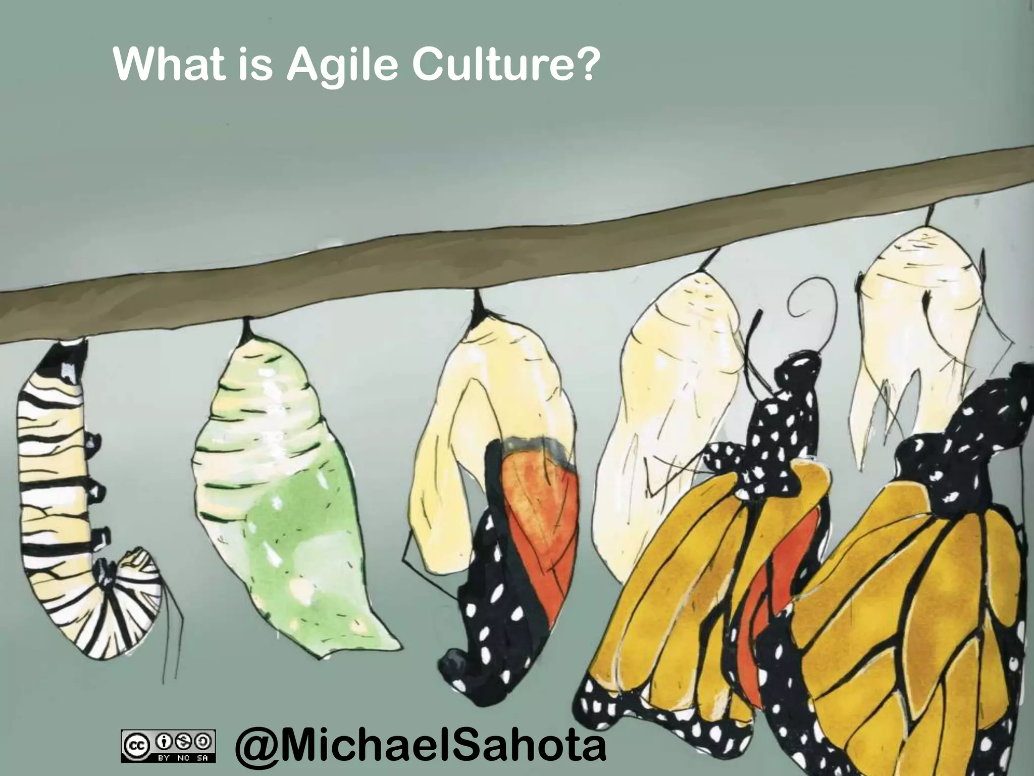 What is Agile Culture?

@MichaelSahota

 