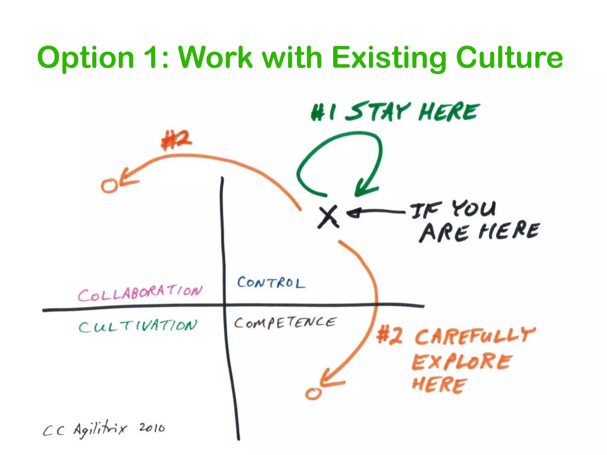 Option 1: Work with Existing Culture

 