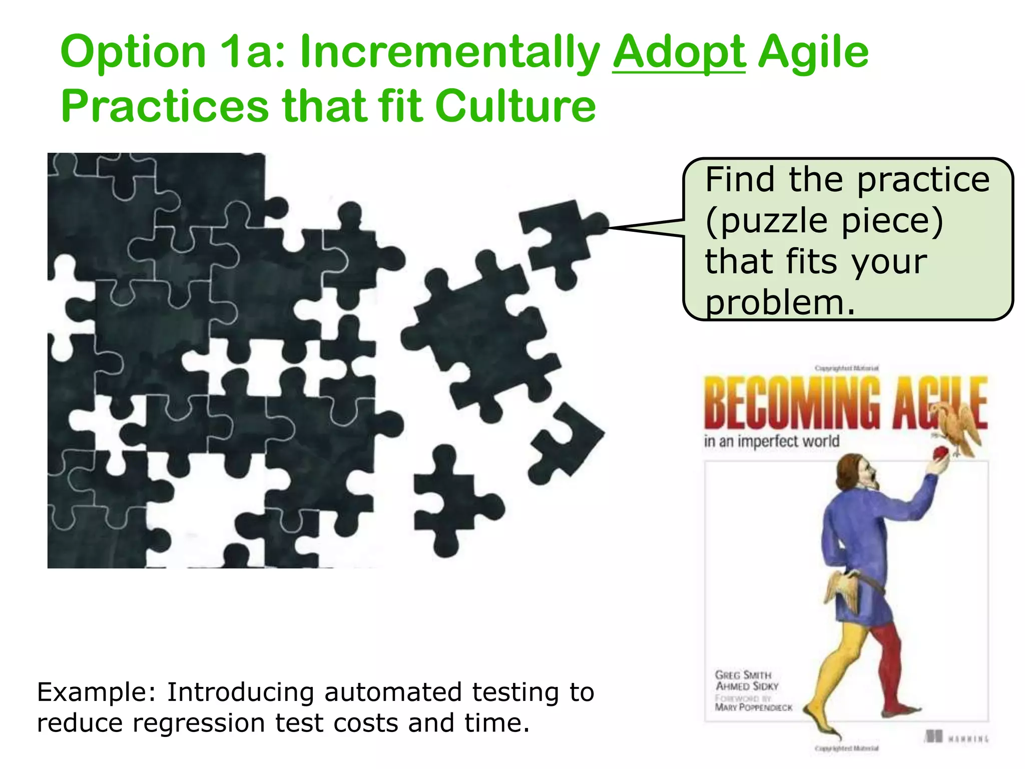 Option 1a: Incrementally Adopt Agile
Practices that fit Culture
Find the practice
(puzzle piece)
that fits your
problem.

Example: Introducing automated testing to
reduce regression test costs and time.

 