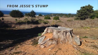 FROM JESSE’S STUMP

 