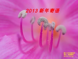 2013 新年寄语




            图片文字来源网络
            音乐：幸福誓言
            2013.2.7 He Yan
 
