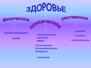 •широта
•выносливость
                •эмоционально      •глубина
    •сила       -волевая
                сфера            •гибкость ума

                •психические
                познавательные
                процессы

                •внимание
 