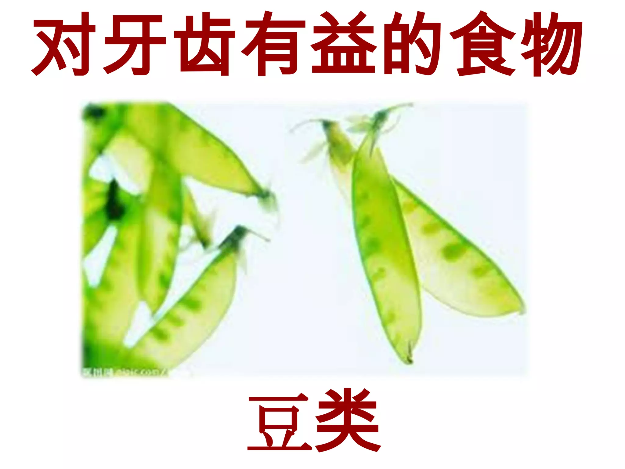 对牙齿有益的食物




   豆类
 