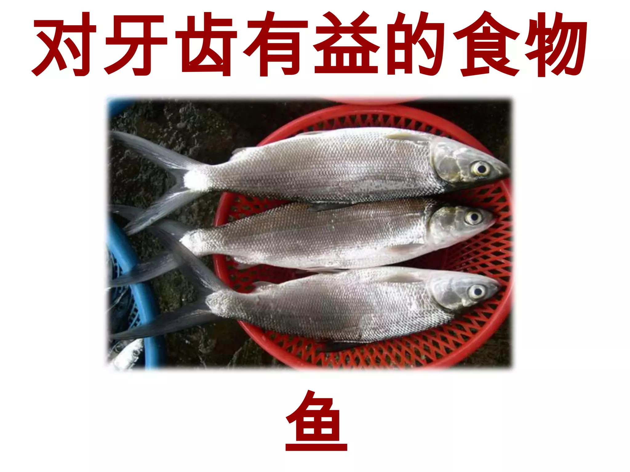 对牙齿有益的食物




   鱼
 