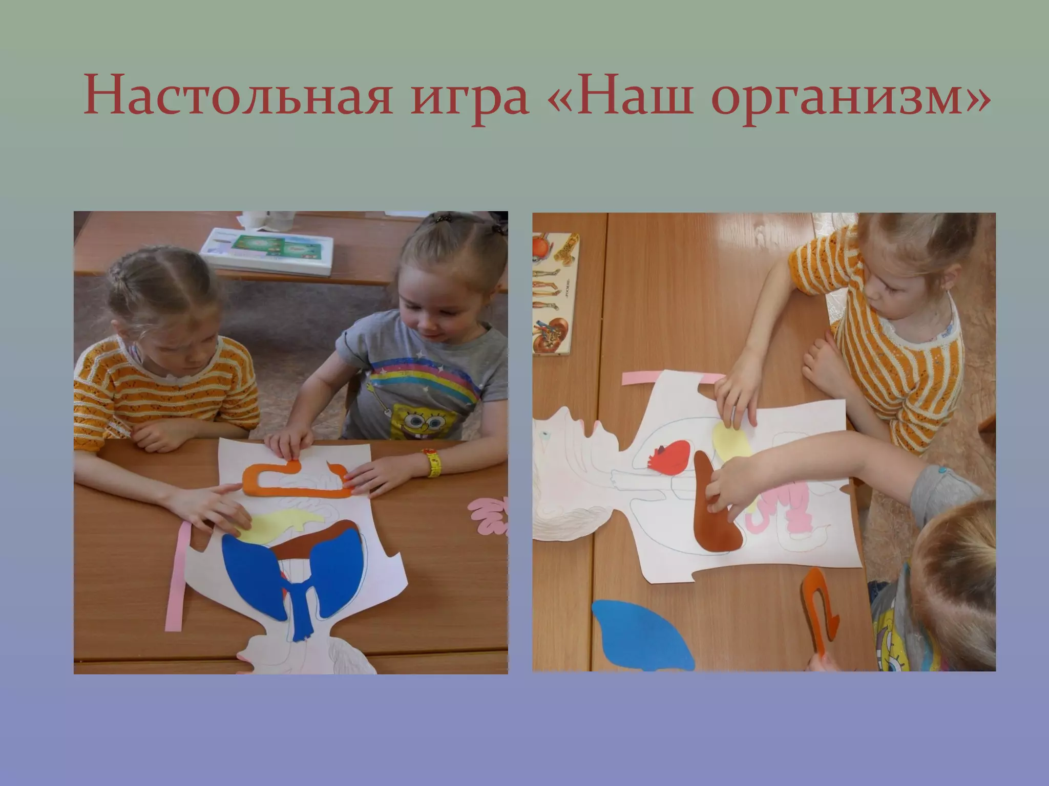 Настольная игра «Наш организм»
 