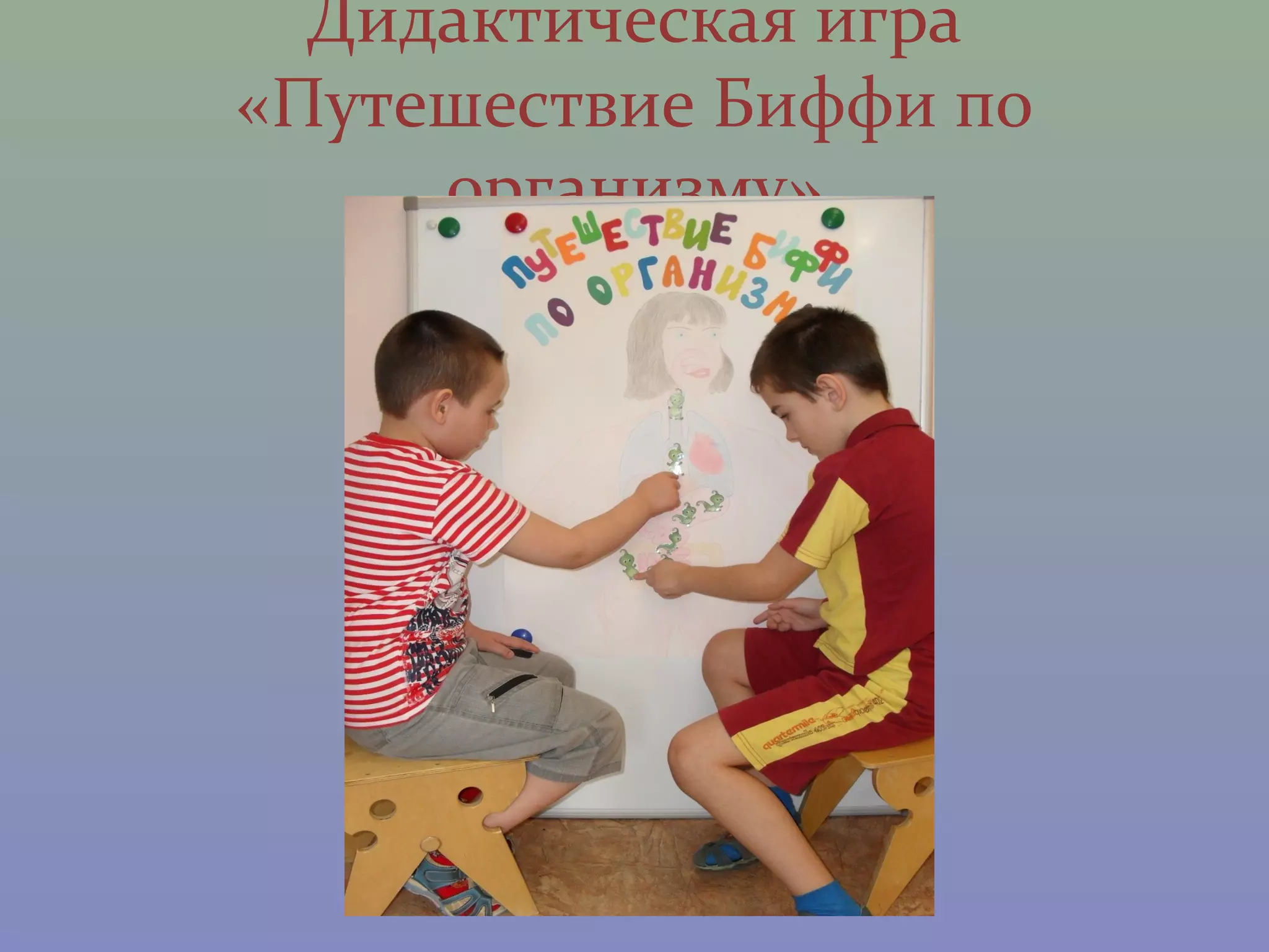 Дидактическая игра
«Путешествие Биффи по
     организму»
 