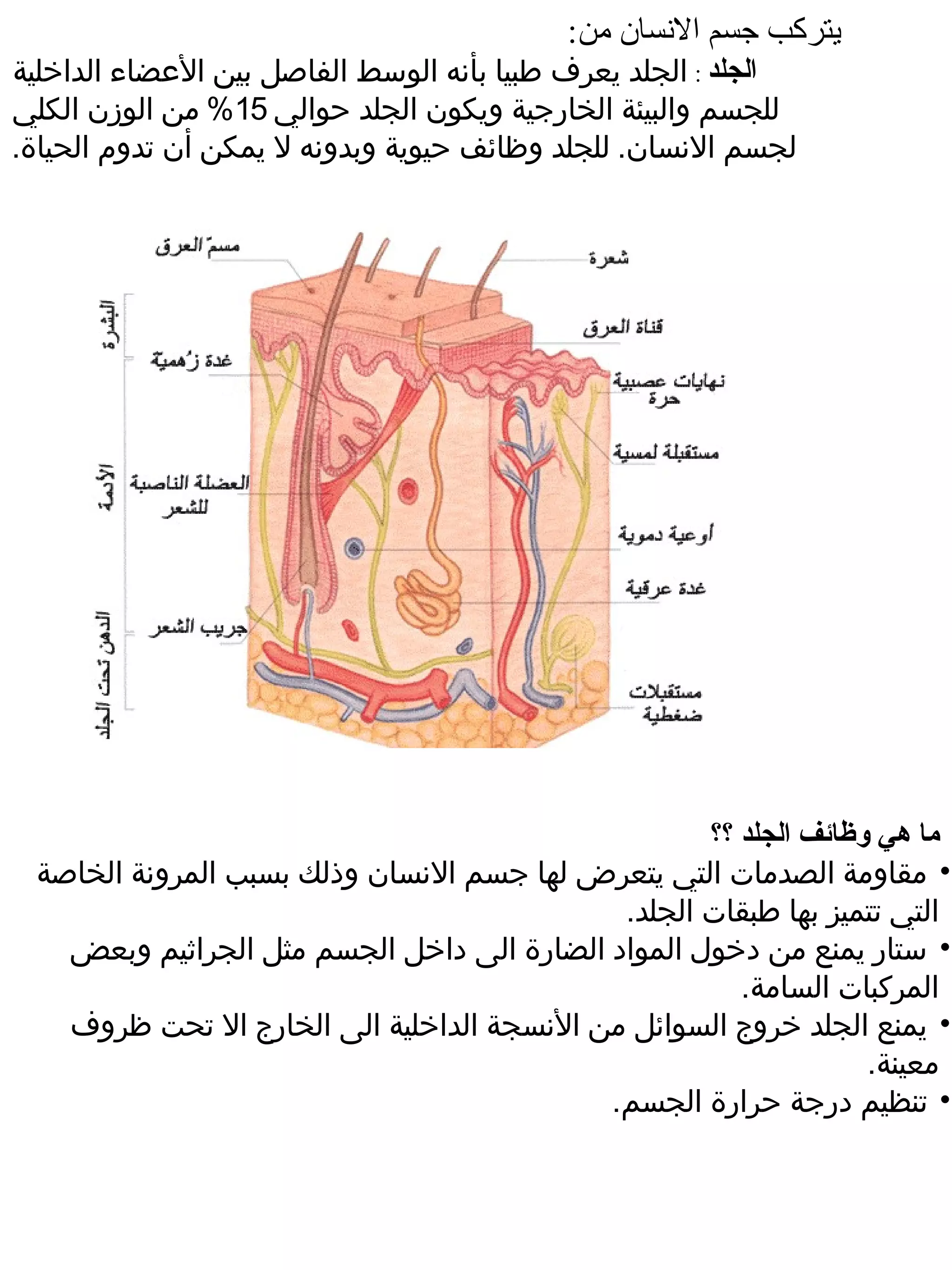 ‫يتركب جسم النسان من:‬
‫الجلد : الجلد يعرف طبيا بأنه الوسط الفاصل بين الضعضاء الداخلية‬
‫للجسم والبيئة الخارجية ويكون الجلد حوالي 51% من الوزن الكلي‬
‫لجسم النسان. للجلد وظائف حيوية وبدونه ل يمكن أن تدوم الحياة.‬




                                                   ‫ما هي لوظائف الجلد ؟؟‬
 ‫• مقاومة الصدمات التي يتعرض لها جسم النسان وذلك بسبب المرونة الخاصة‬
                                            ‫التي تتميز بها طبقات الجلد.‬
   ‫• ستار يمنع من دخول المواد الضارة الى داخل الجسم مثل الجراثيم وبعض‬
                                                      ‫المركبات السامة.‬
   ‫• يمنع الجلد خروج السوائل من النسجة الداخلية الى الخارج ال تحت ظروف‬
                                                                  ‫معينة.‬
                                           ‫• تنظيم درجة حرارة الجسم.‬
 