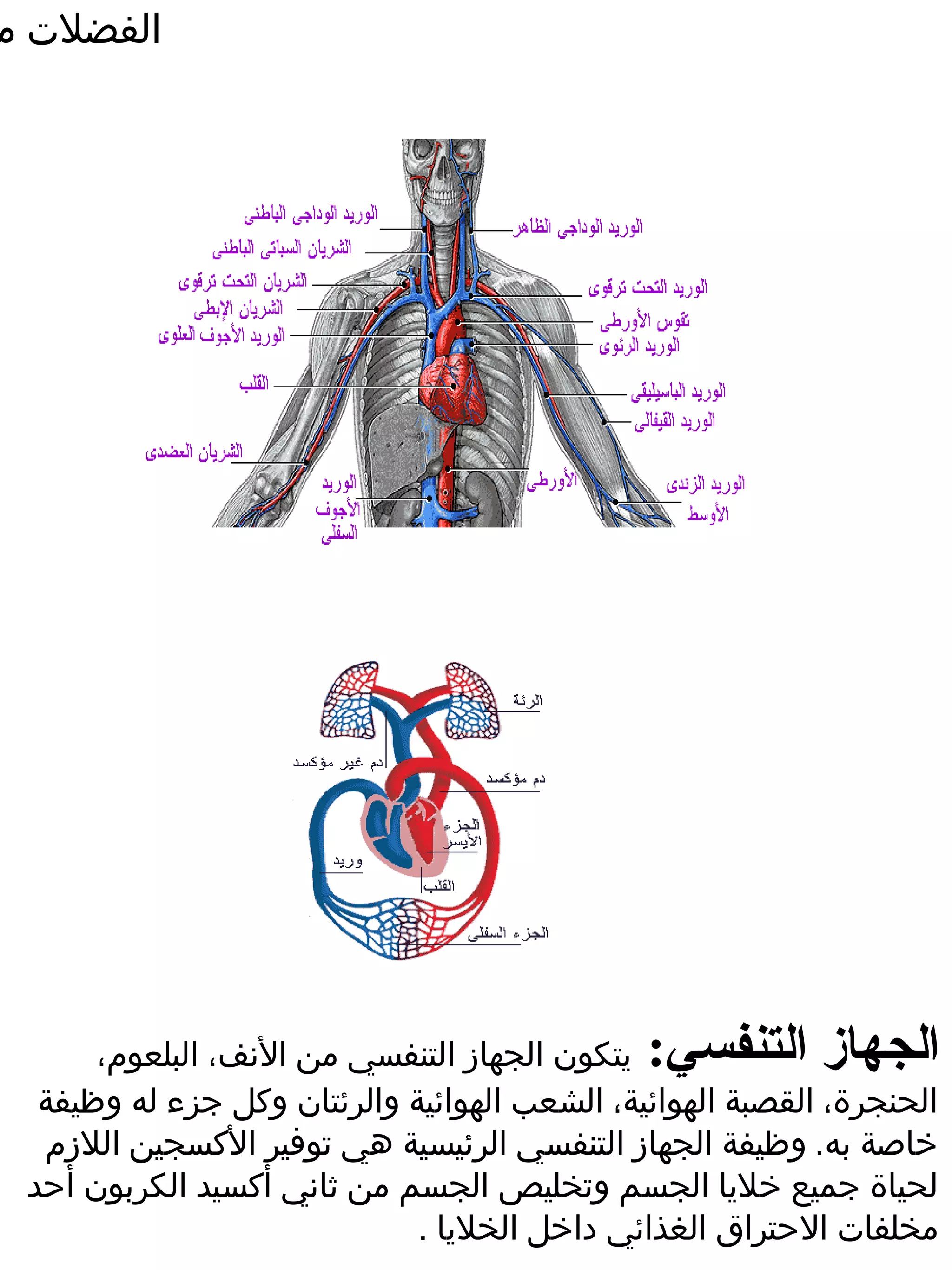 ‫الفضلت م‬




      ‫يتكون الجهاز التنفسي من النف، البلعوم،‬  ‫الجهاز التنفسي:‬
  ‫الحنجرة، القصبة الهوائية، الشعب الهوائية والرئتان وكل جزء له وظيفة‬
  ‫خاصة به. وظيفة الجهاز التنفسي الرئيسية هي توفير الكسجين اللزم‬
 ‫لحياة جميع خليا الجسم وتخليص الجسم من ثاني أكسيد الكربون أحد‬
                             ‫مخلفات الحتراق الغذائي داخل الخليا .‬
 